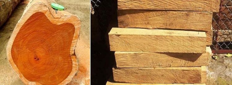 Phân loại gỗ Pơ Mu dựa vào nguồn gốc